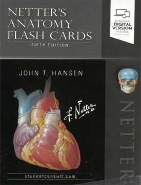 Netter's Anatomy Flash Cards