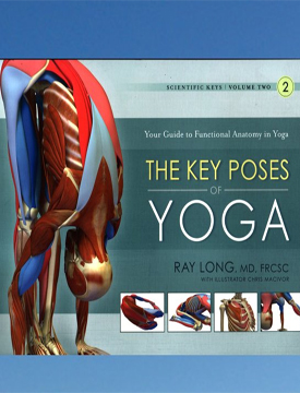 The Key Poses of Yoga